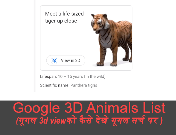 google 3d animals